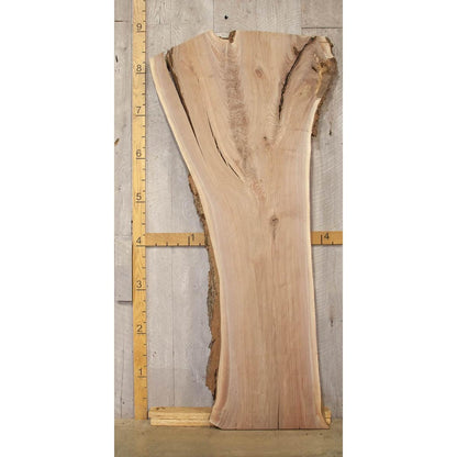 Large Live Edge Walnut Slab: Kiln-Dried Hardwood Lumber (107")