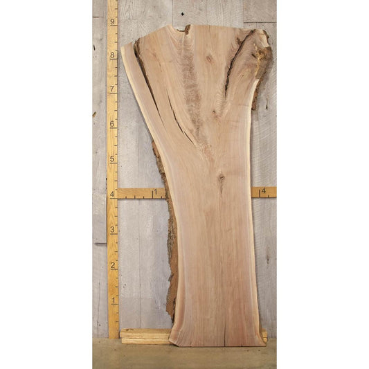 Large Live Edge Walnut Slab: Kiln-Dried Hardwood Lumber (107")