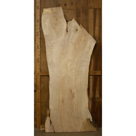 Live Edge Soft Maple Slab: Kiln-Dried Light-Toned Hardwood (2.3"x44"x108")