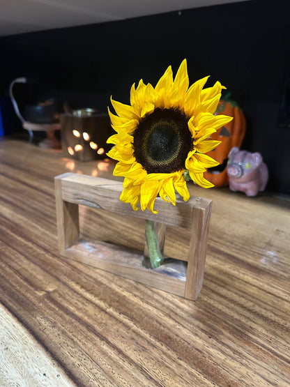 Rustic Live Edge Propagation Station | Handmade Wooden Plant Tube Holder & Botanical Decor Gift