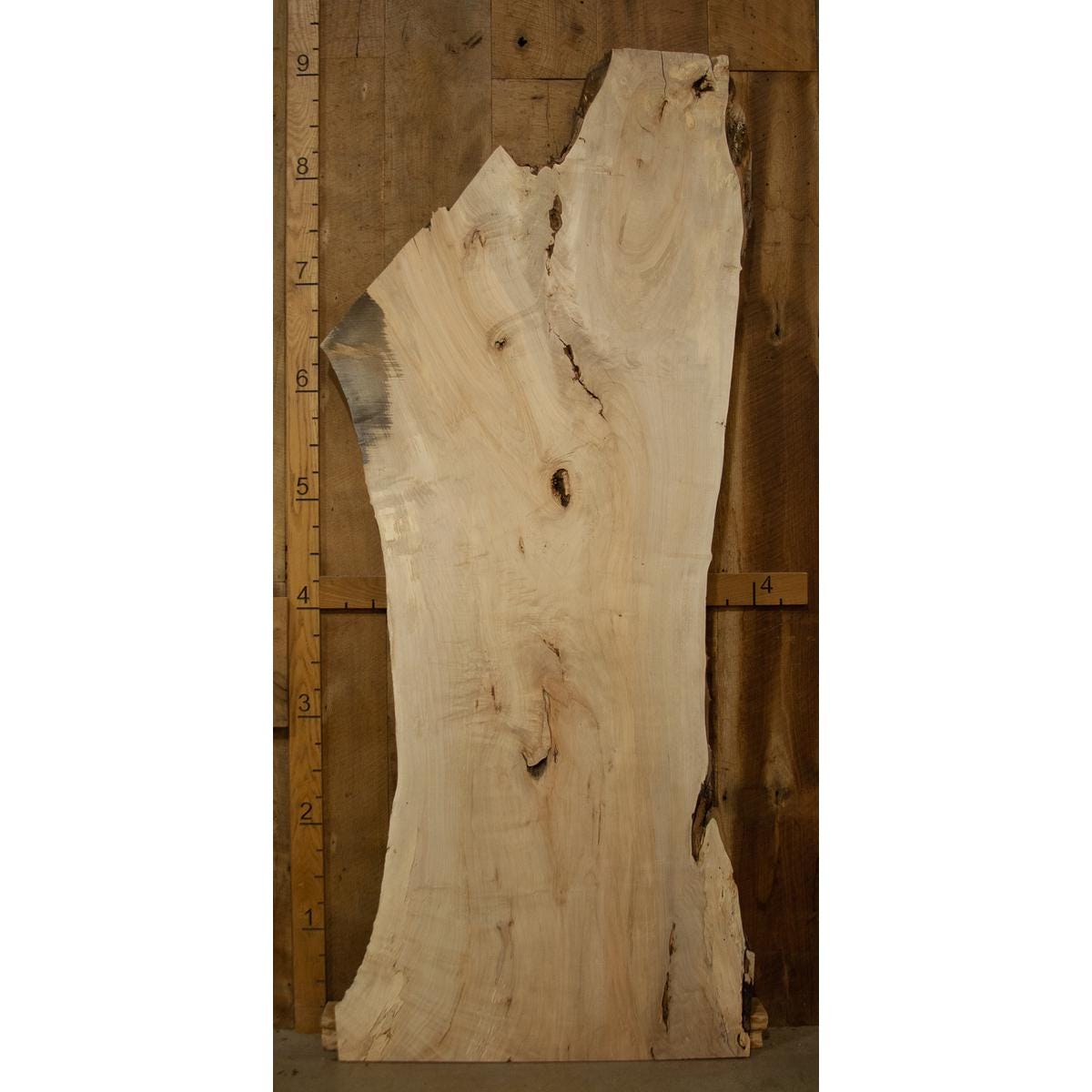 Live Edge Soft Maple Slab: Kiln - Dried Light - Toned Hardwood - Stumps Custom Wood