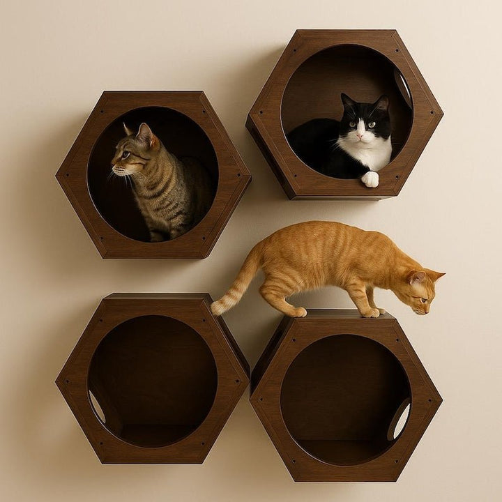 modern floating cat shelf | Wall Mounted Hut - Stumps Custom Wood