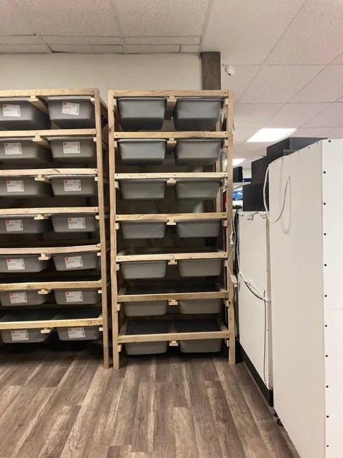 Mouse & ASF Rodent Breeding Rack | Rolling Maternity Rack - Stumps Custom Wood