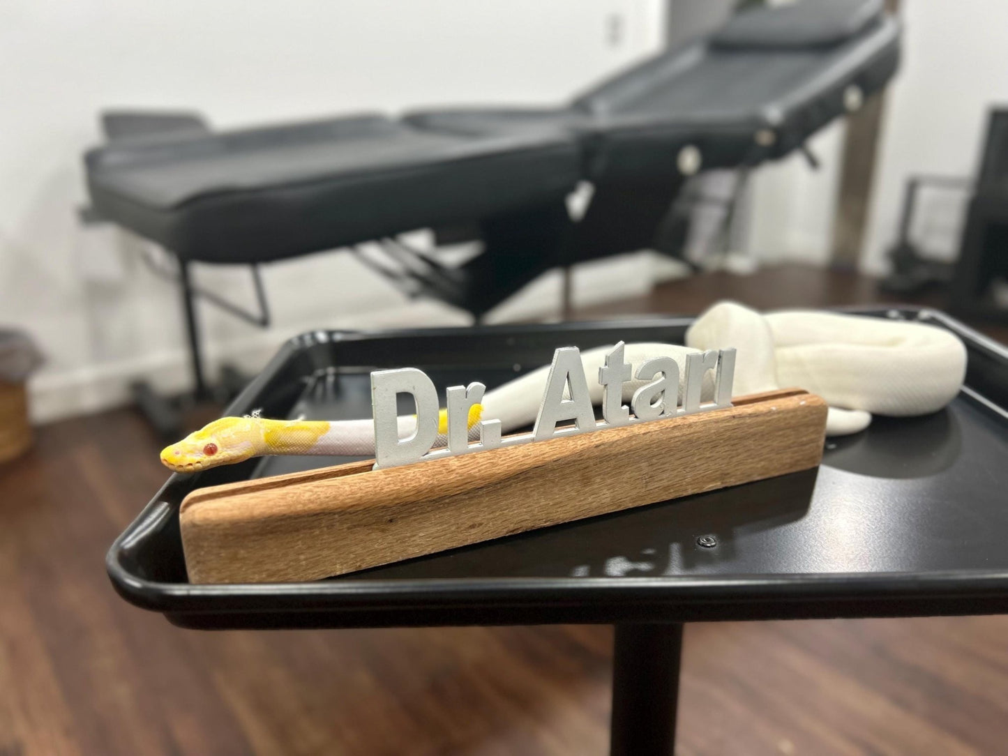 Personalized Wood Desk Name Plate: Custom Office Sign, Teacher Gift - Stumps Custom Wood