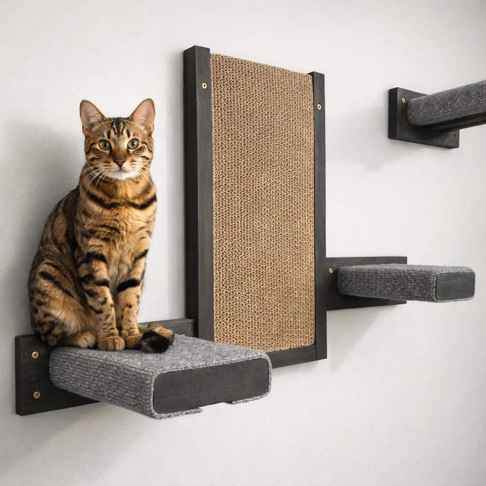 Wall Mounted Cat Scratcher Pad Replaceable Scratch Pad - Stumps Custom Wood
