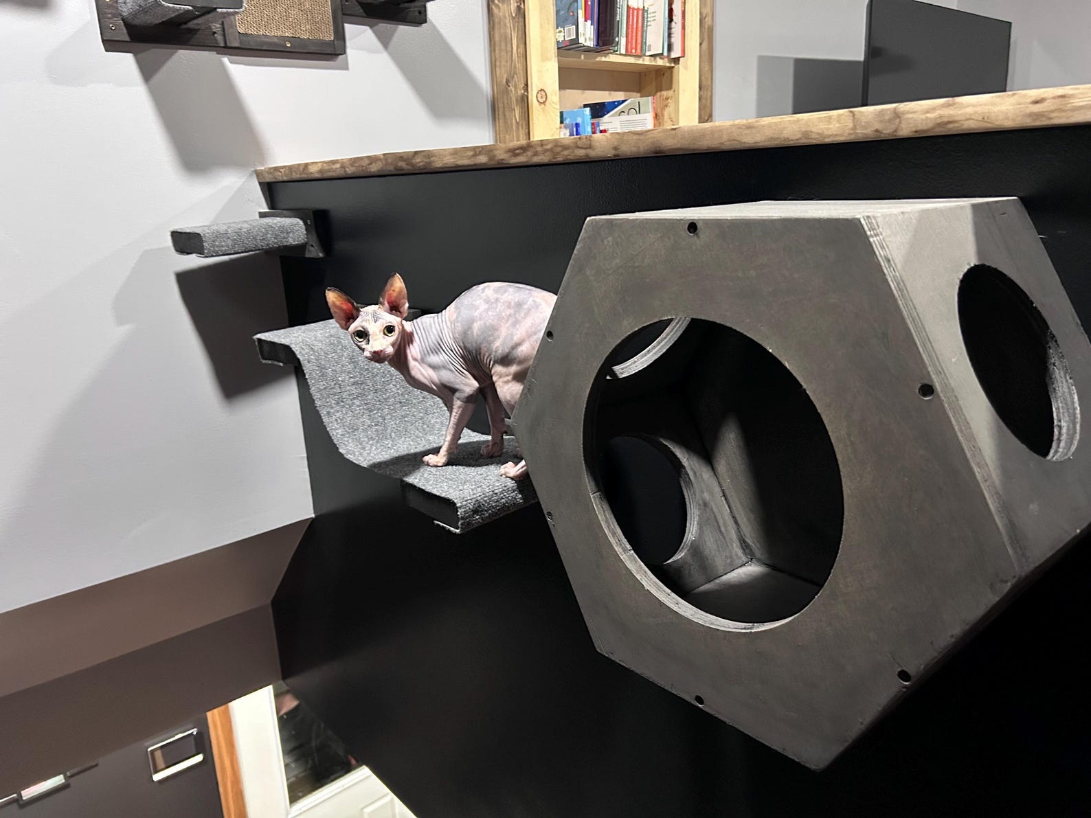 Wooden Cat Wall Bridge: Wooden Hanging Walkway - Stumps Custom Wood