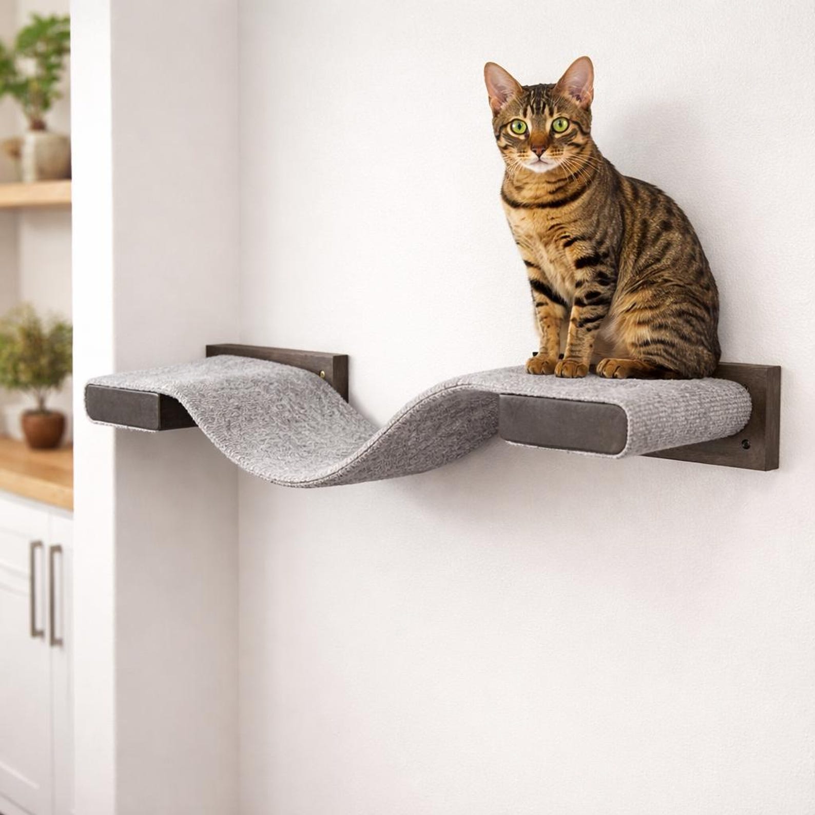 Wooden Cat Wall Bridge: Wooden Hanging Walkway - Stumps Custom Wood